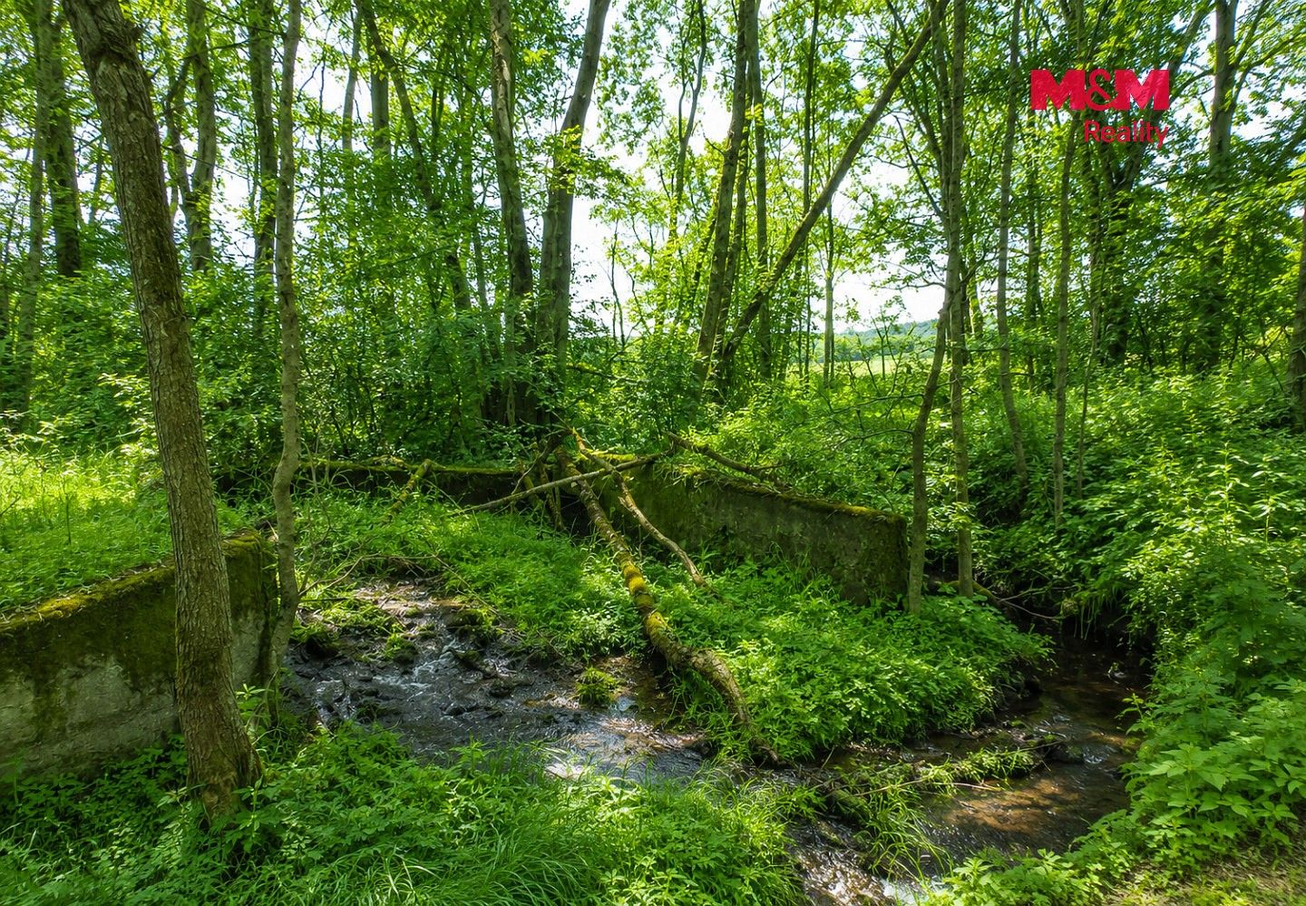 Louky, Petrovice - Žemličkova Lhota, okres Příbram - 2