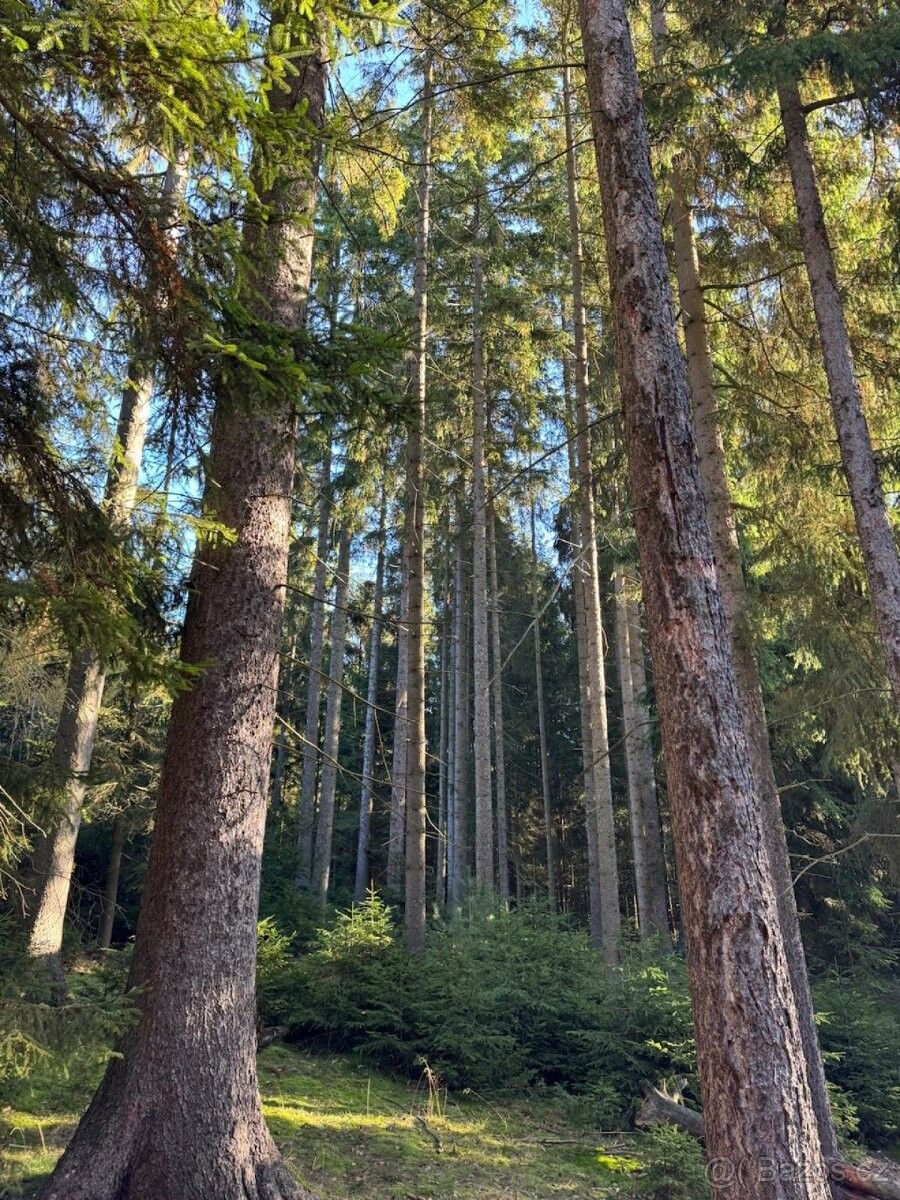 Pozemky pro bydlení, Rtyně v Podkrkonoší, 542 33