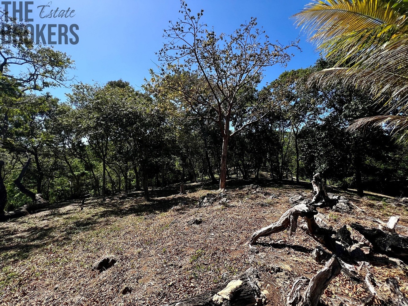 Pozemky pro bydlení, Coxen Hole, Roatán, Honduras - 1