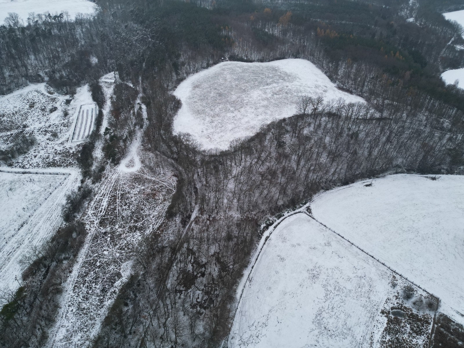 Prodej zemědělský pozemek - Úštěk, 60 462 m² - 5
