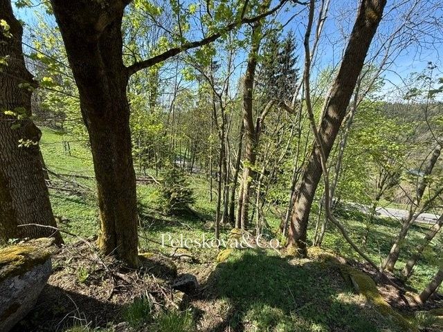 Pozemek pro bydlení · 12 296 m² · Kořenov - 4