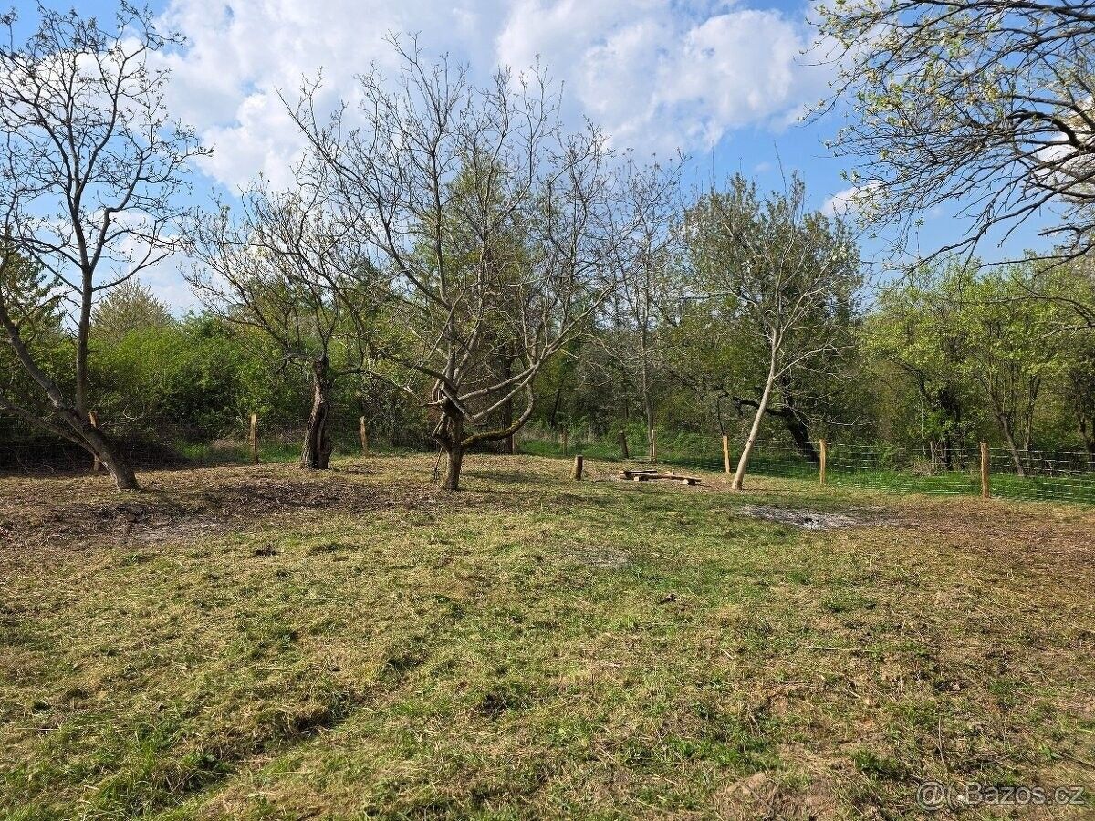 Zahrada, Boršice – pohled 4
