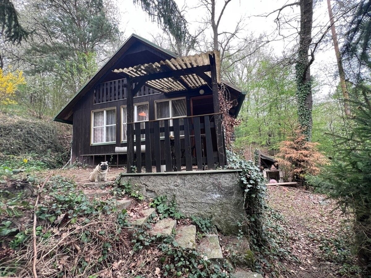 Prodej chata - Slatiňany, 538 21 - 2