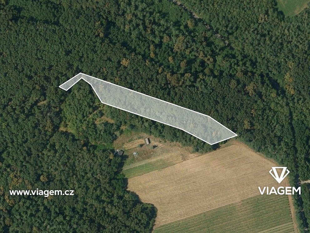 Prodej les - Dolní Kounice, okres Brno-venkov, Jihomoravský kraj - 2