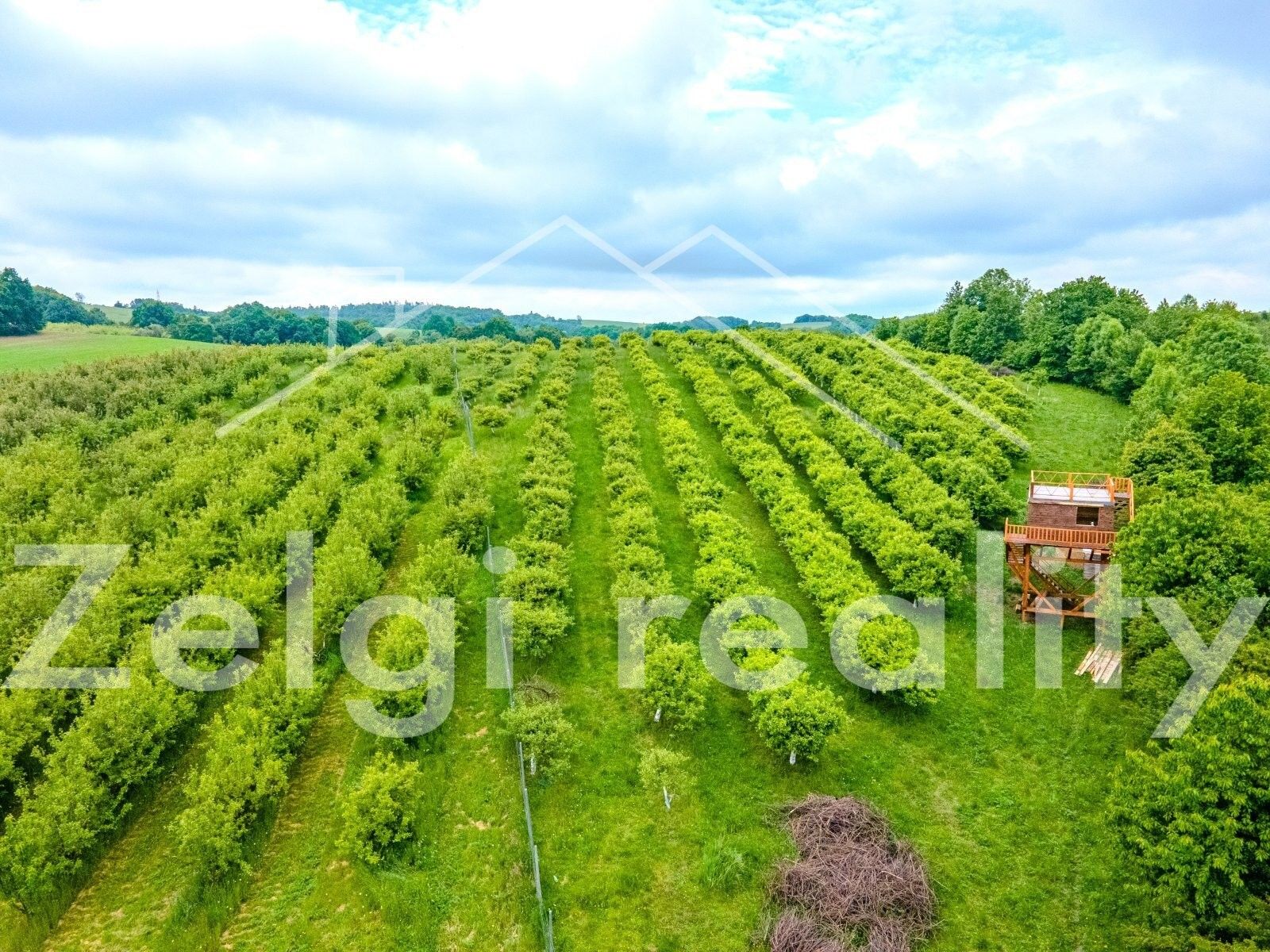 Ostatní, Polom, 9 m²