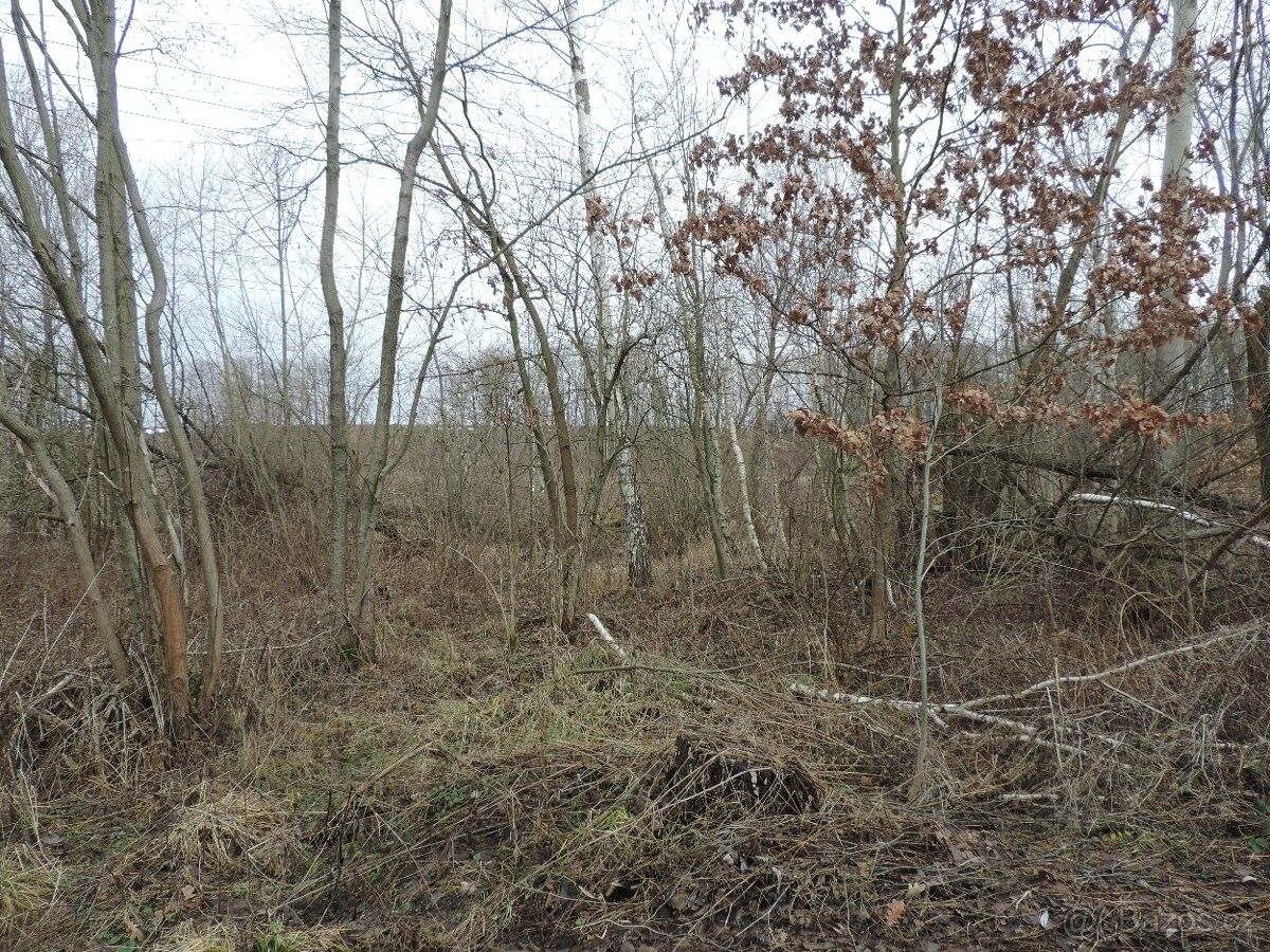 Pozemky pro bydlení, Stráž pod Ralskem, 471 27