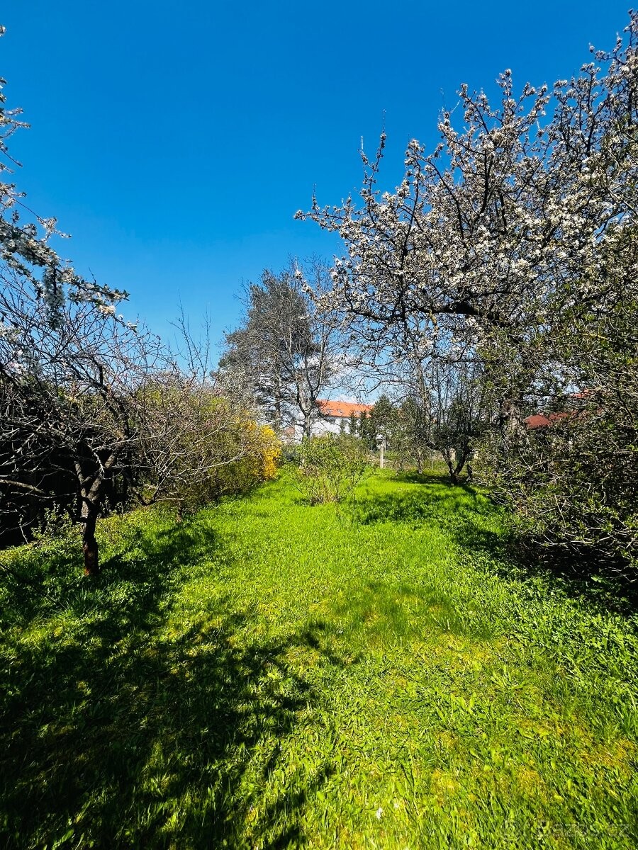 Prodej rodinný dům - Vysoké Chvojno, 533 21 - 5
