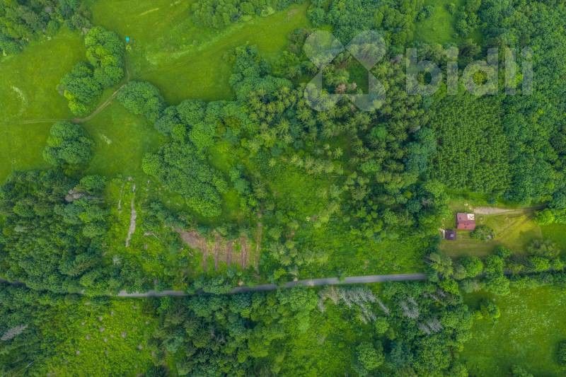 Prodej les - Lhota, Chuchelna