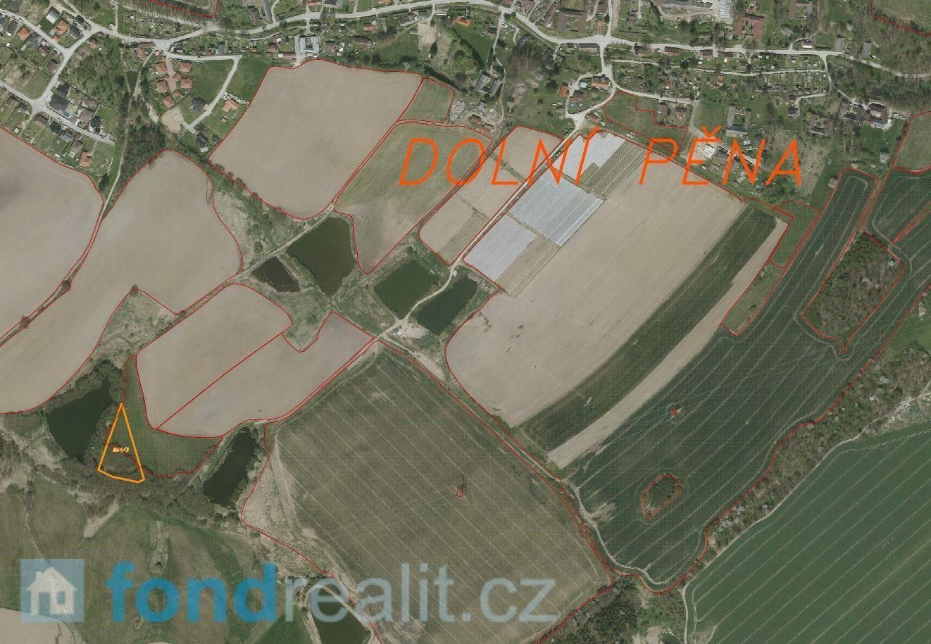 Prodej pozemek - Dolní Pěna, 4 291 m²