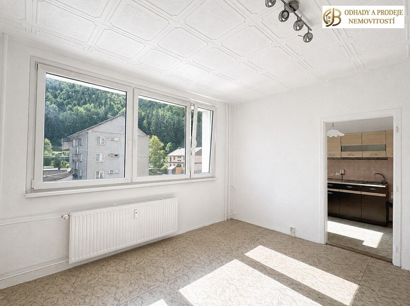 Byt 2+1 · 45 m² · Na Holbě, Hanušovice, okres Šumperk - 4