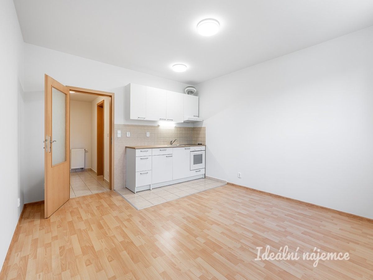 1+kk, Dobrovolného, Praha, 31 m² - 2