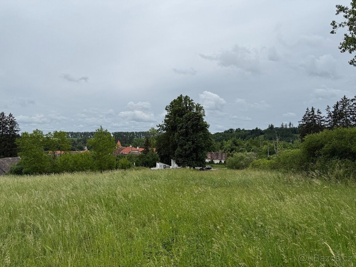 Zahrada