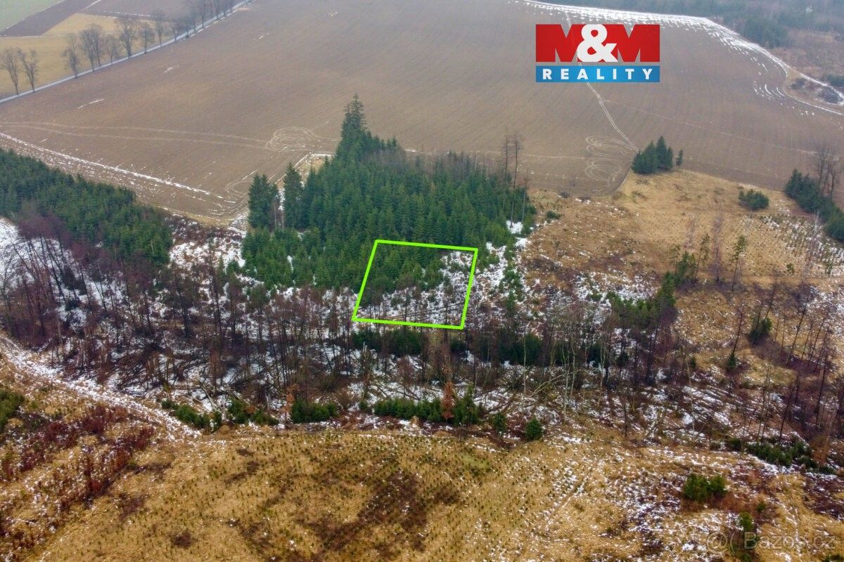 Pozemky pro bydlení, Česká Bělá, 582 61