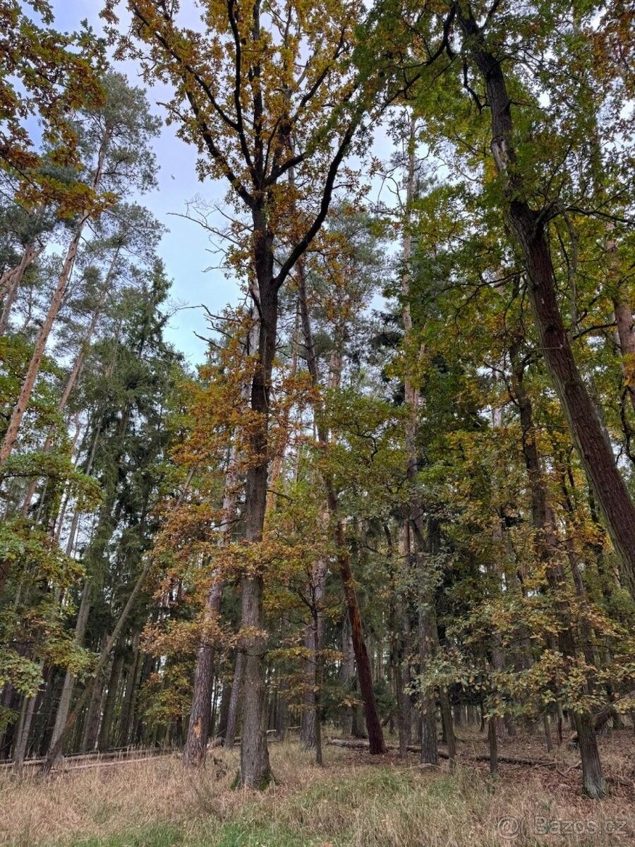 Pozemky pro bydlení, Týn nad Vltavou, 375 01