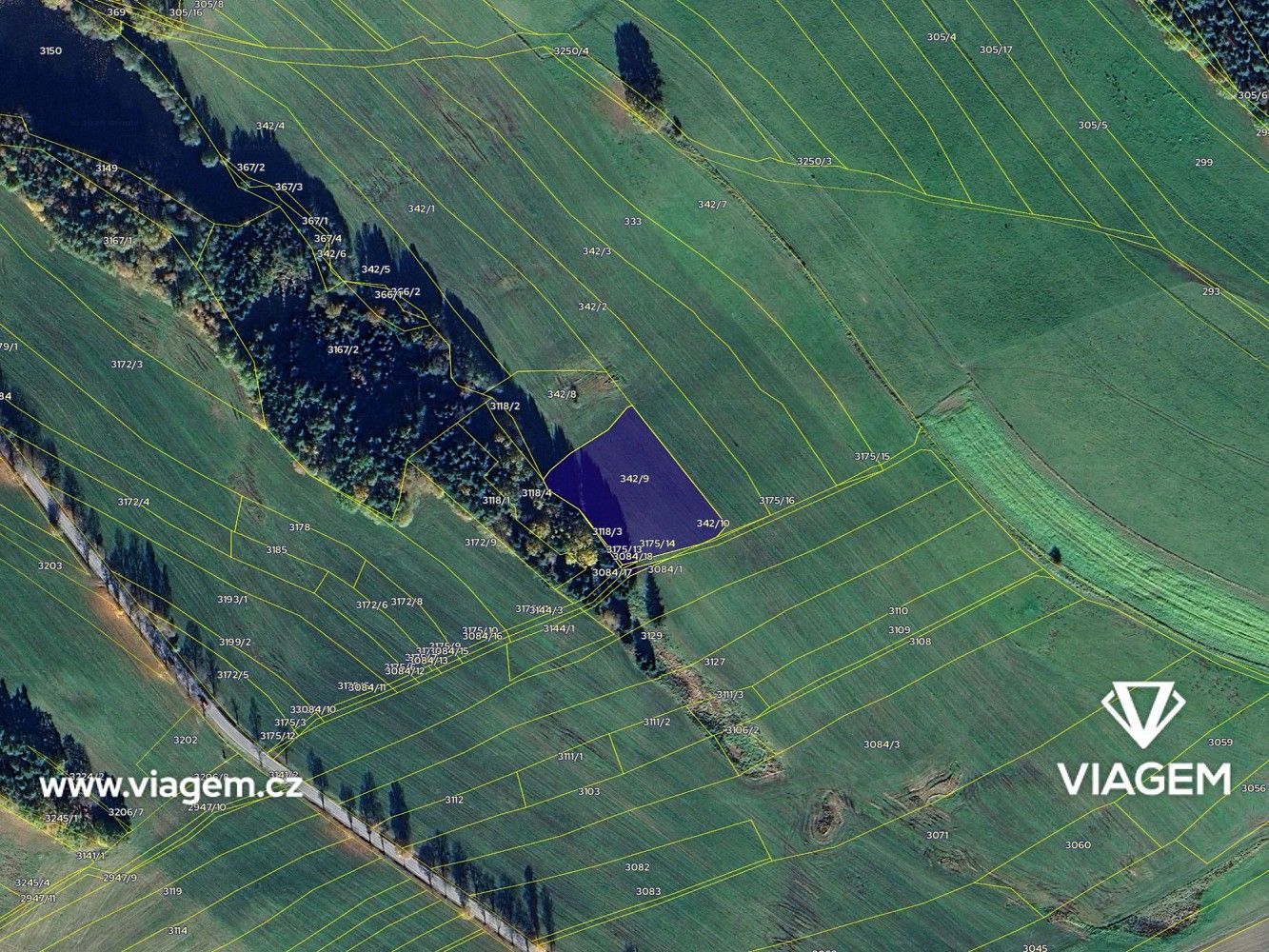 Zemědělský pozemek · Olešnice, okres České Budějovice, Jihočeský kraj - 4