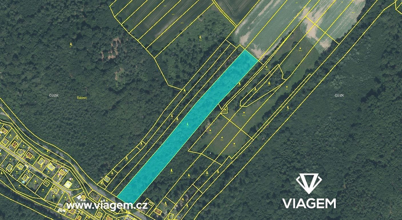 Les · Horní Lhota, okres Ostrava-město, Moravskoslezský kraj - 3