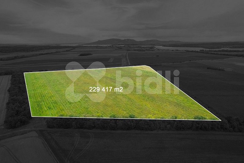 Prodej zemědělský pozemek - Pohořelice - Nová Ves, okres Brno-venkov - 5