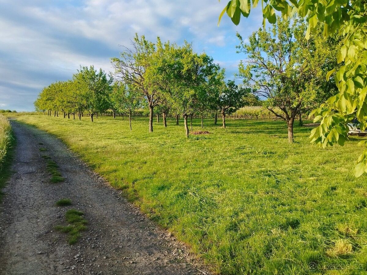 Prodej zahrada - Blatnice pod Svatým Antonínkem, 696 71