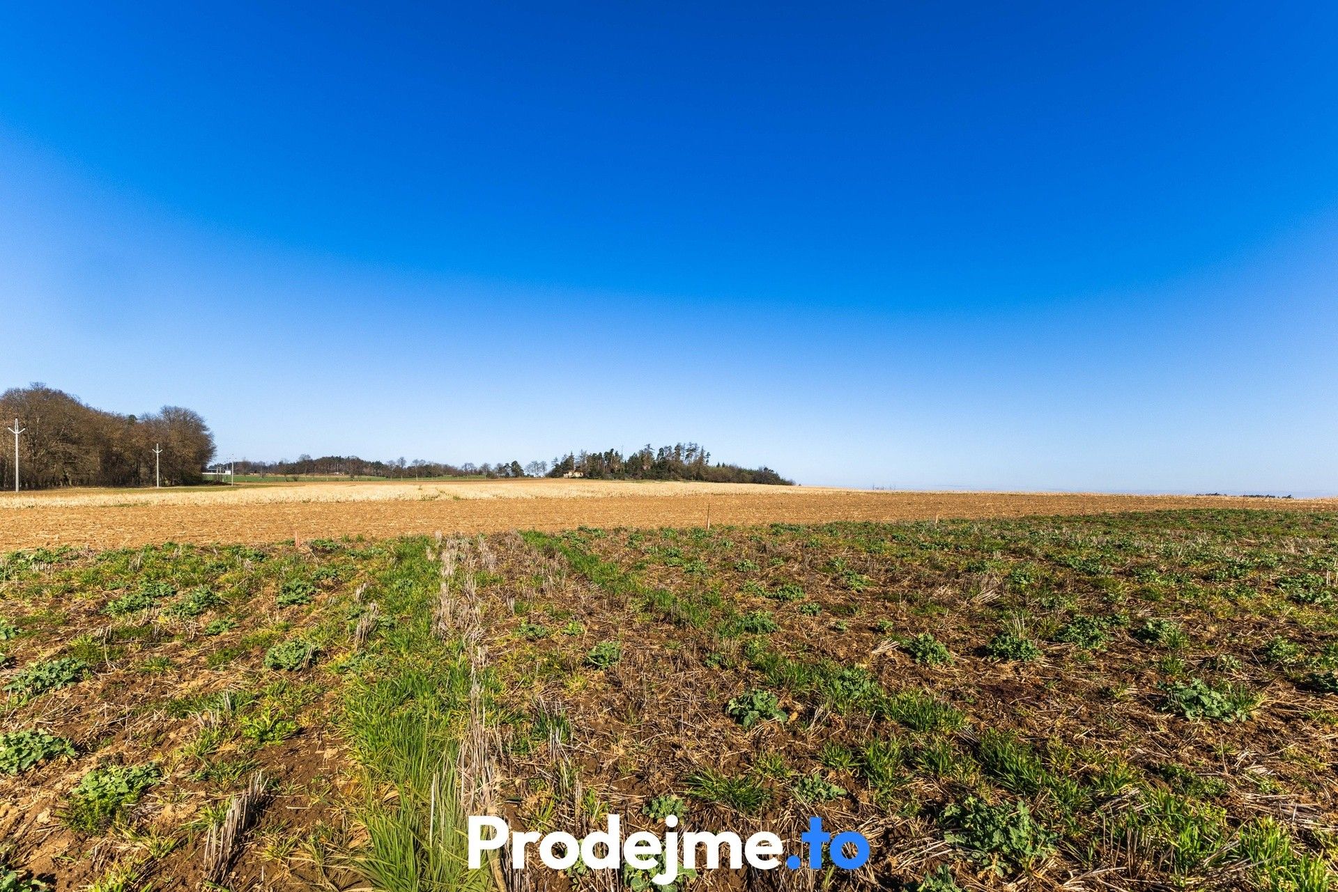 Pozemek pro bydlení · 1 118 m² · Budišov - 4