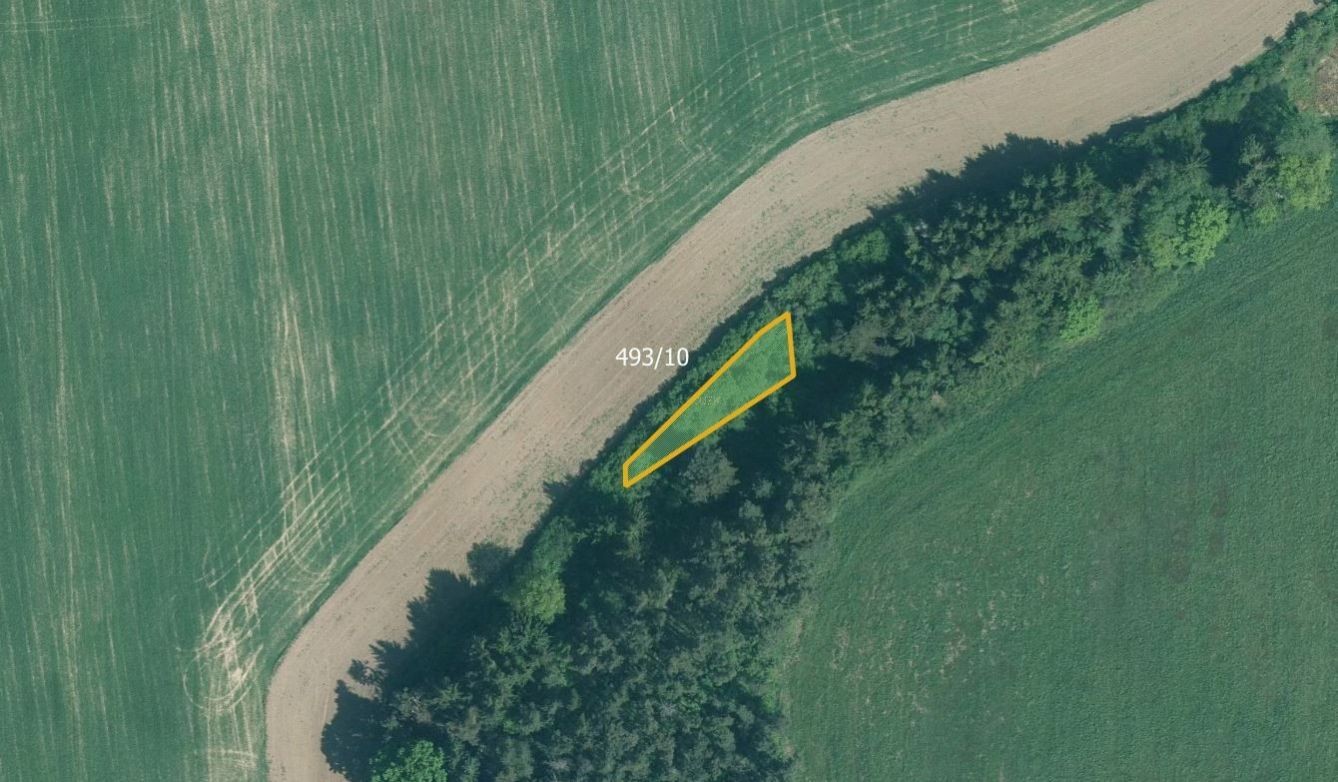 Prodej zemědělský pozemek - Slabčice Písecká Smoleč - 5