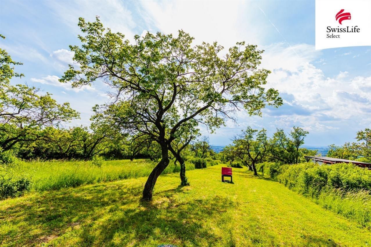 Komerční pozemek · Židlochovice - 3