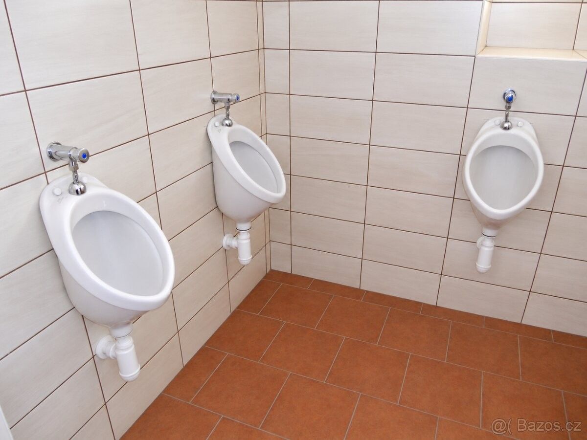 Pronájem obchodní prostory - Trhová Kamenice, 539 52 - 5