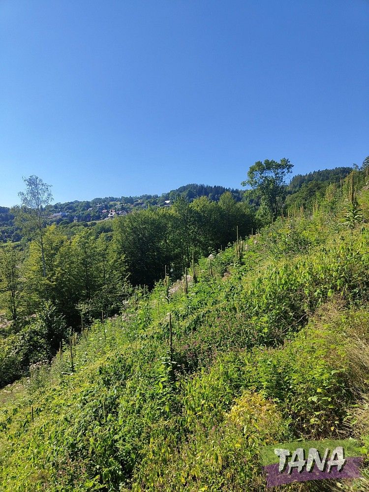 Les, 4 922 m²