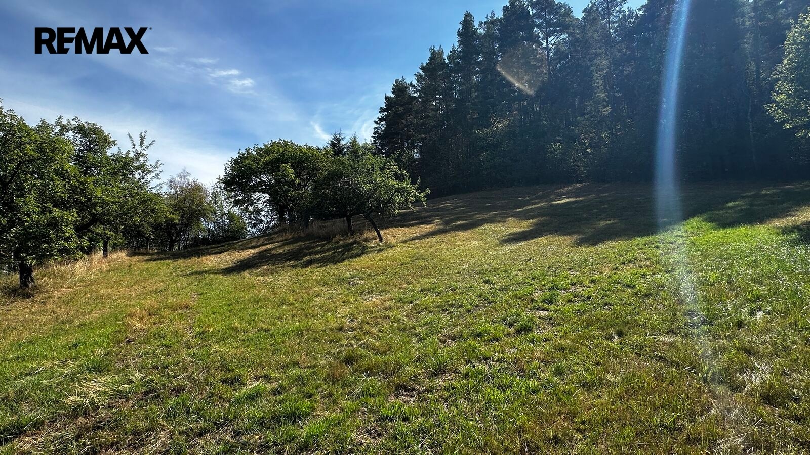 Pozemek pro bydlení · 9 219 m² · Nezdice na Šumavě - 4