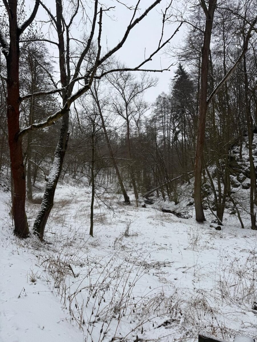 Prodej pozemek pro bydlení - Lovosice, 410 02 - 2