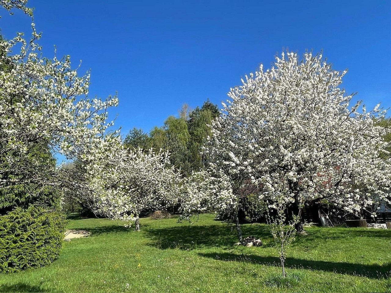 Prodej chalupa - Benešov nad Černou - Klení, okres Český Krumlov, Jihočeský kraj, 120 m² - 5