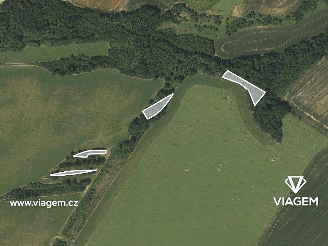 Prodej les - Suchdol nad Odrou, okres Nový Jičín, Moravskoslezský kraj - 2