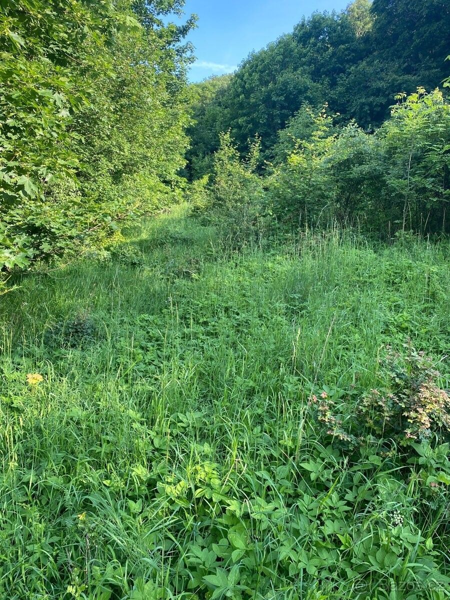 Pronájem zahrada - Třebenice, 411 13