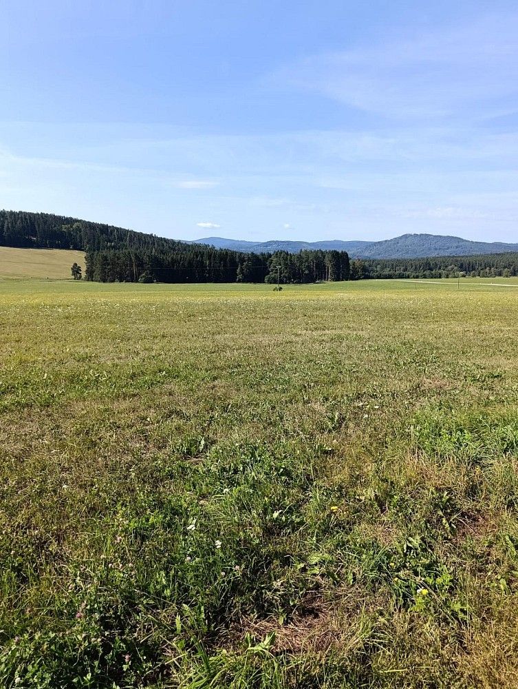 Pozemek pro bydlení, 6 999 m²
