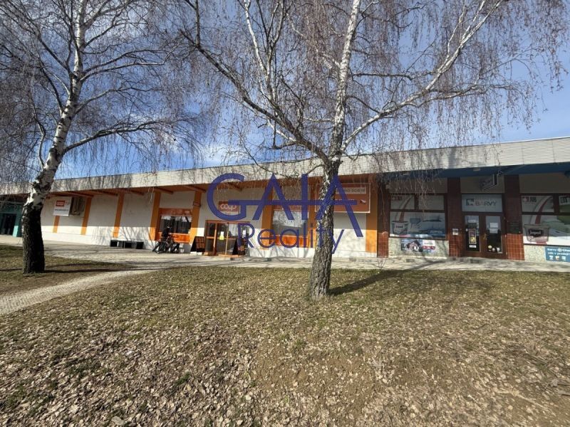 Obchodní prostory, B. Němcové, Dačice, 600 m² - 1
