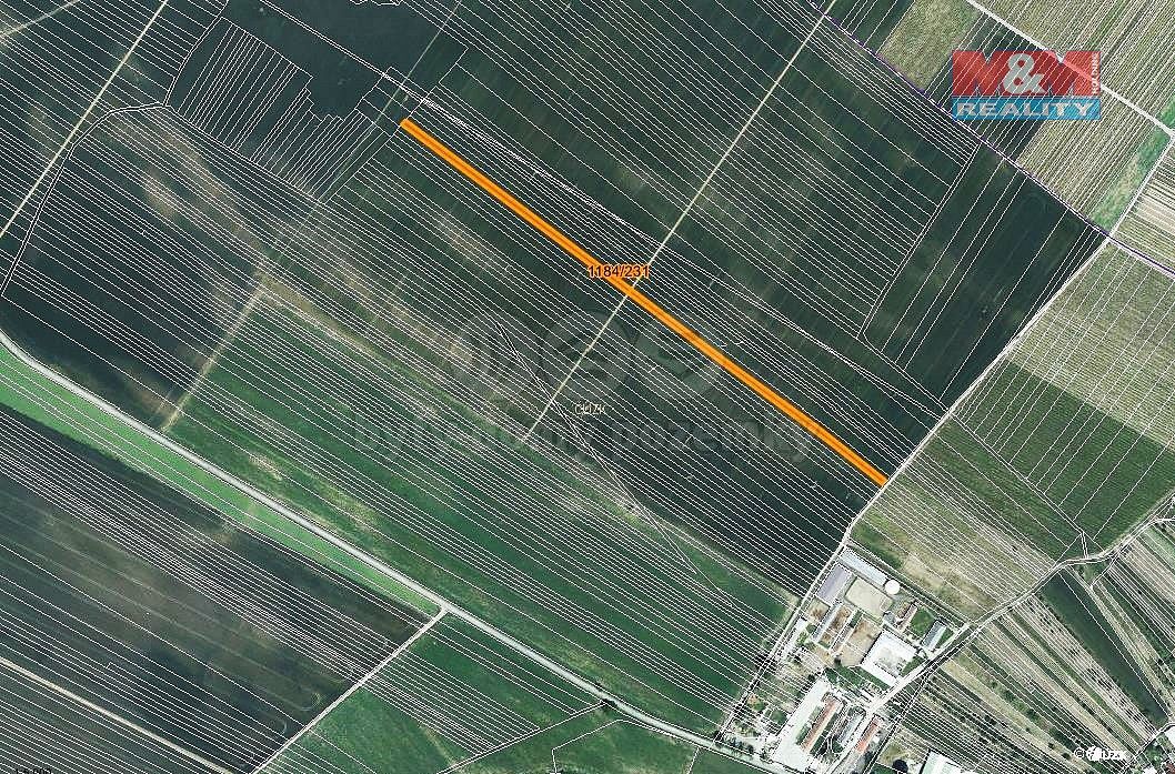 Zemědělské pozemky, Týnec, okres Břeclav, Jihomoravský kraj