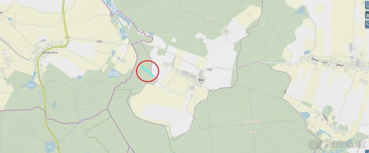 Prodej pozemek pro bydlení - Suchdol nad Lužnicí, 378 06