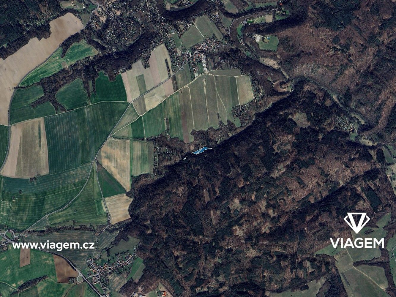Les · Chyňava, okres Beroun, Středočeský kraj - 3
