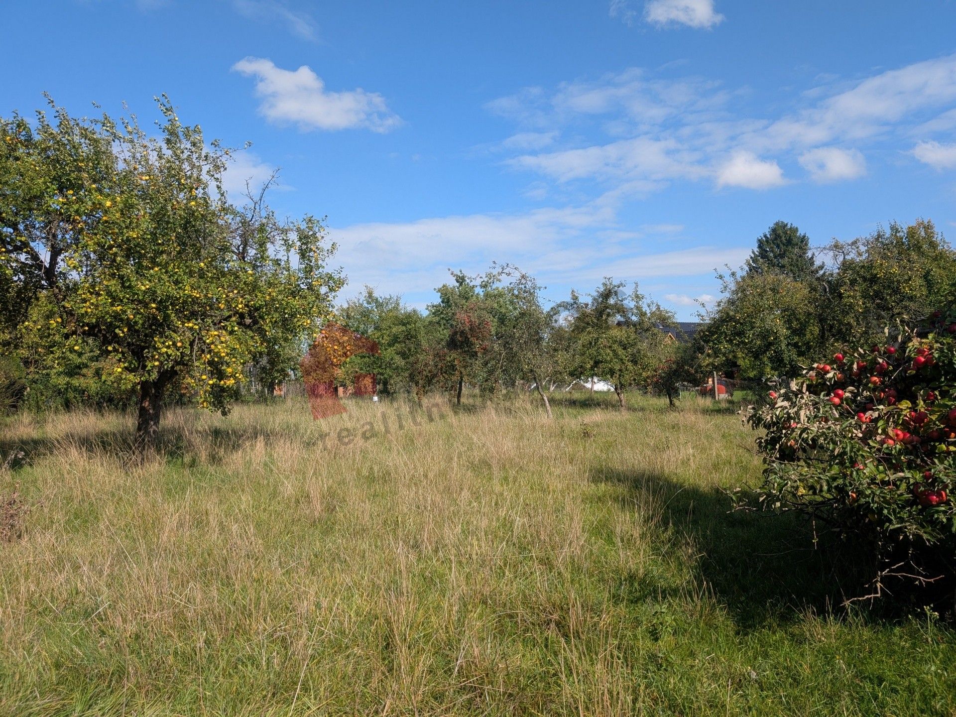 Pozemky pro bydlení, IV, Chlumec nad Cidlinou