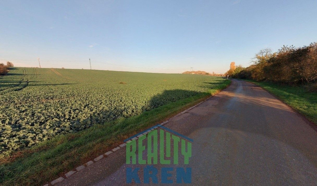 Prodej zemědělský pozemek - Blinka, Plaňany