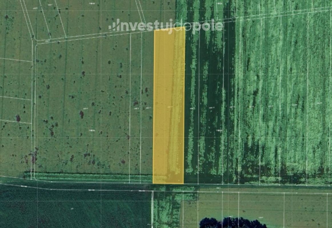 Prodej zemědělský pozemek - Dub nad Moravou, 783 75, 1 264 m²