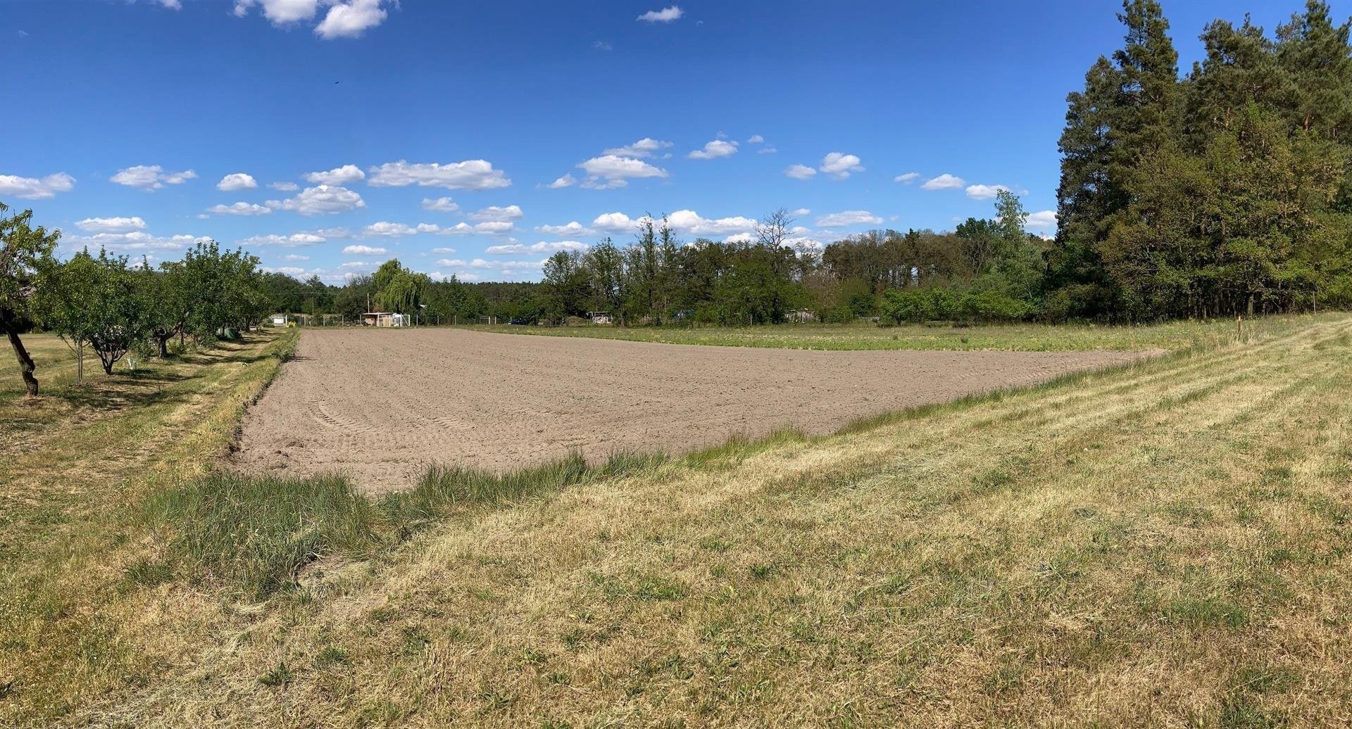 Prodej pozemek pro bydlení - Bechlín Předonín - 5