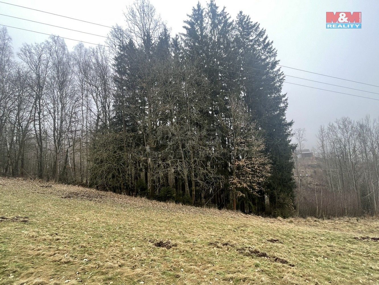 Les, 33 054 m²