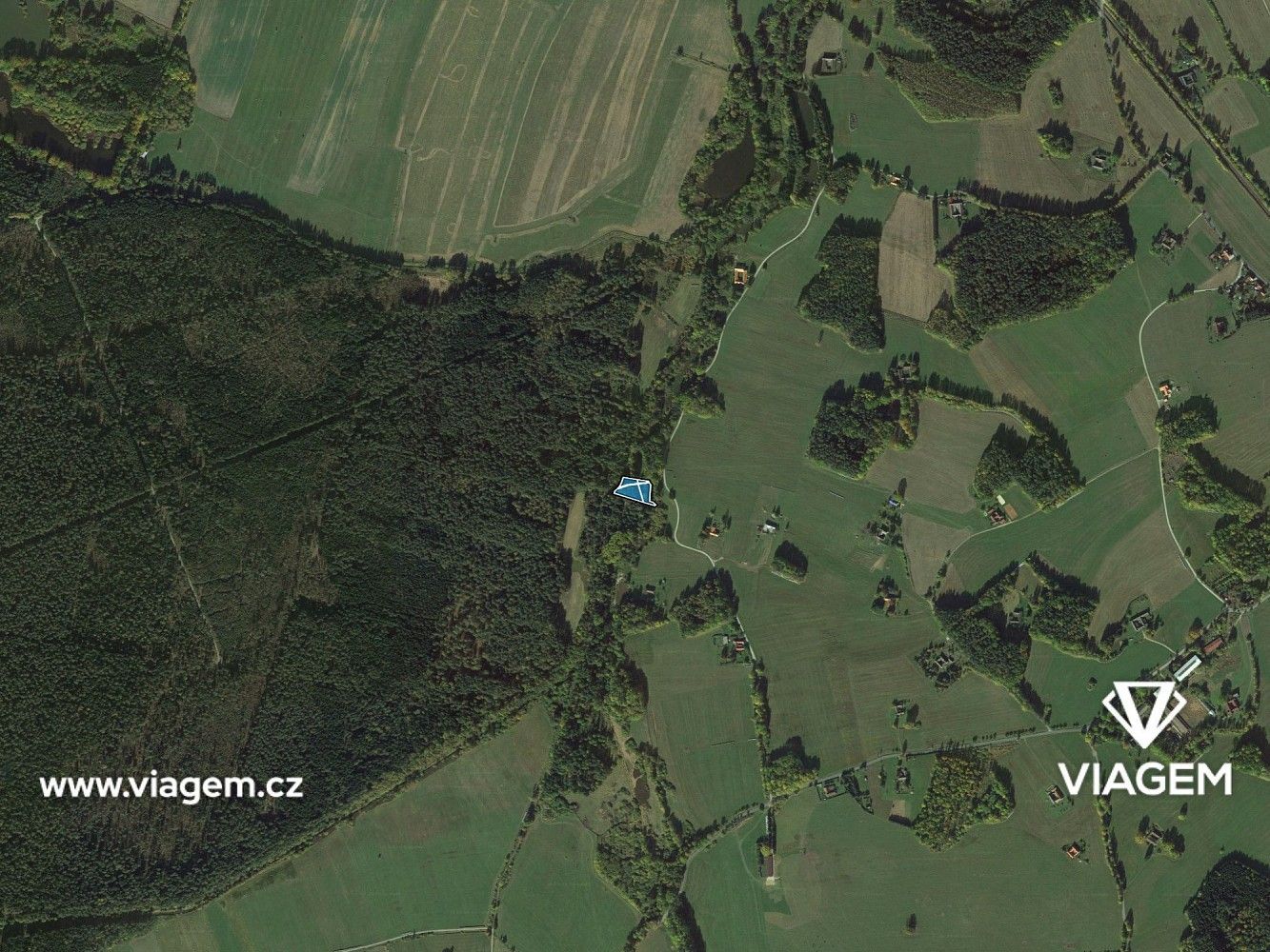 Les · Suchdol nad Lužnicí, okres Jindřichův Hradec, Jihočeský kraj - 3