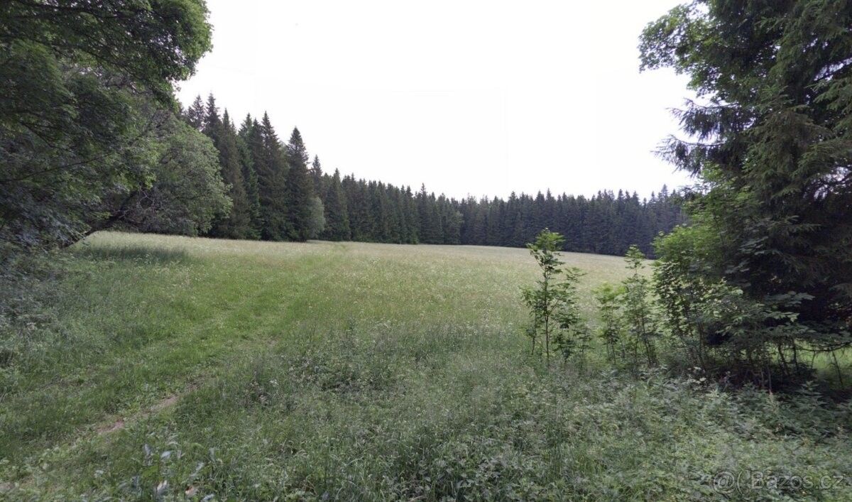 Pozemek pro bydlení · Vimperk, 385 01 - 4
