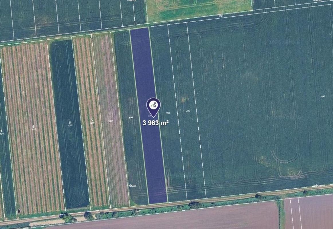 Zemědělské pozemky, Velké Němčice, 3 963 m²