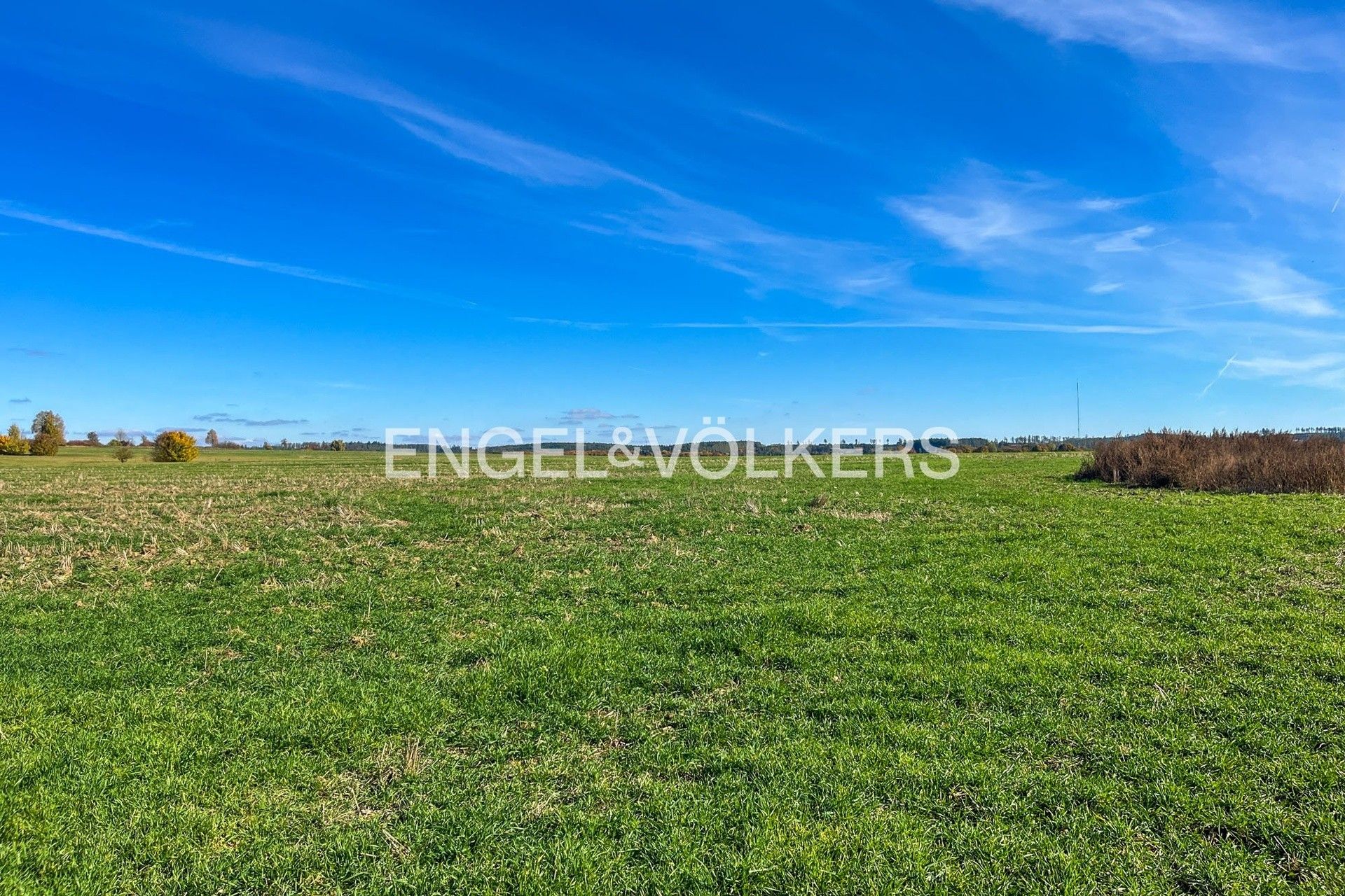 Prodej zemědělský pozemek - Lanžhot