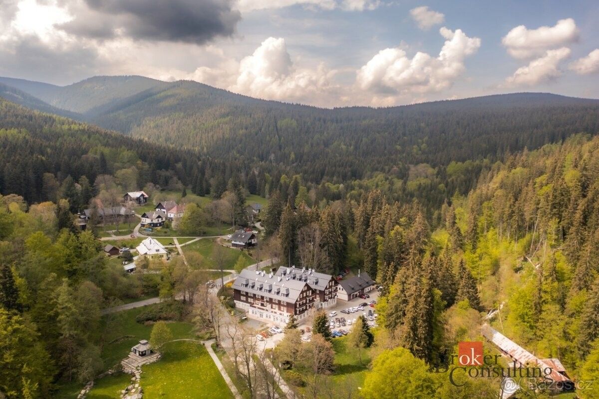 Byt · Karlova Studánka, 793 24 - 3