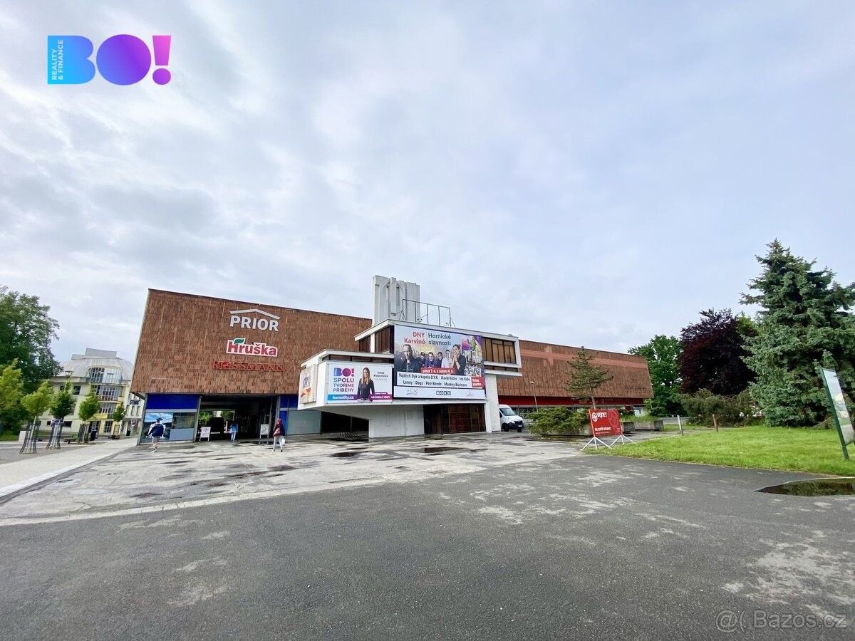 Obchodní prostory, Karviná, 733 01