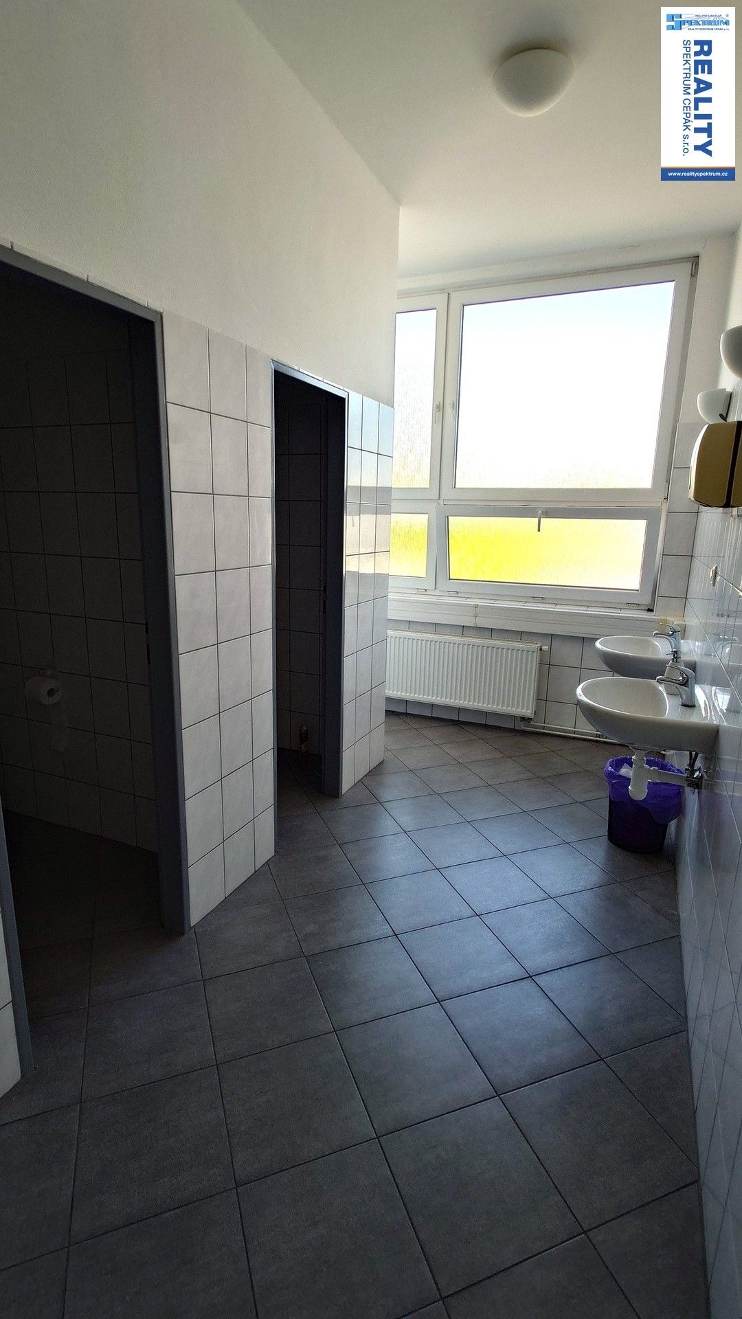 Kancelář · 235 m² · Hůrecká, Lišov - 4