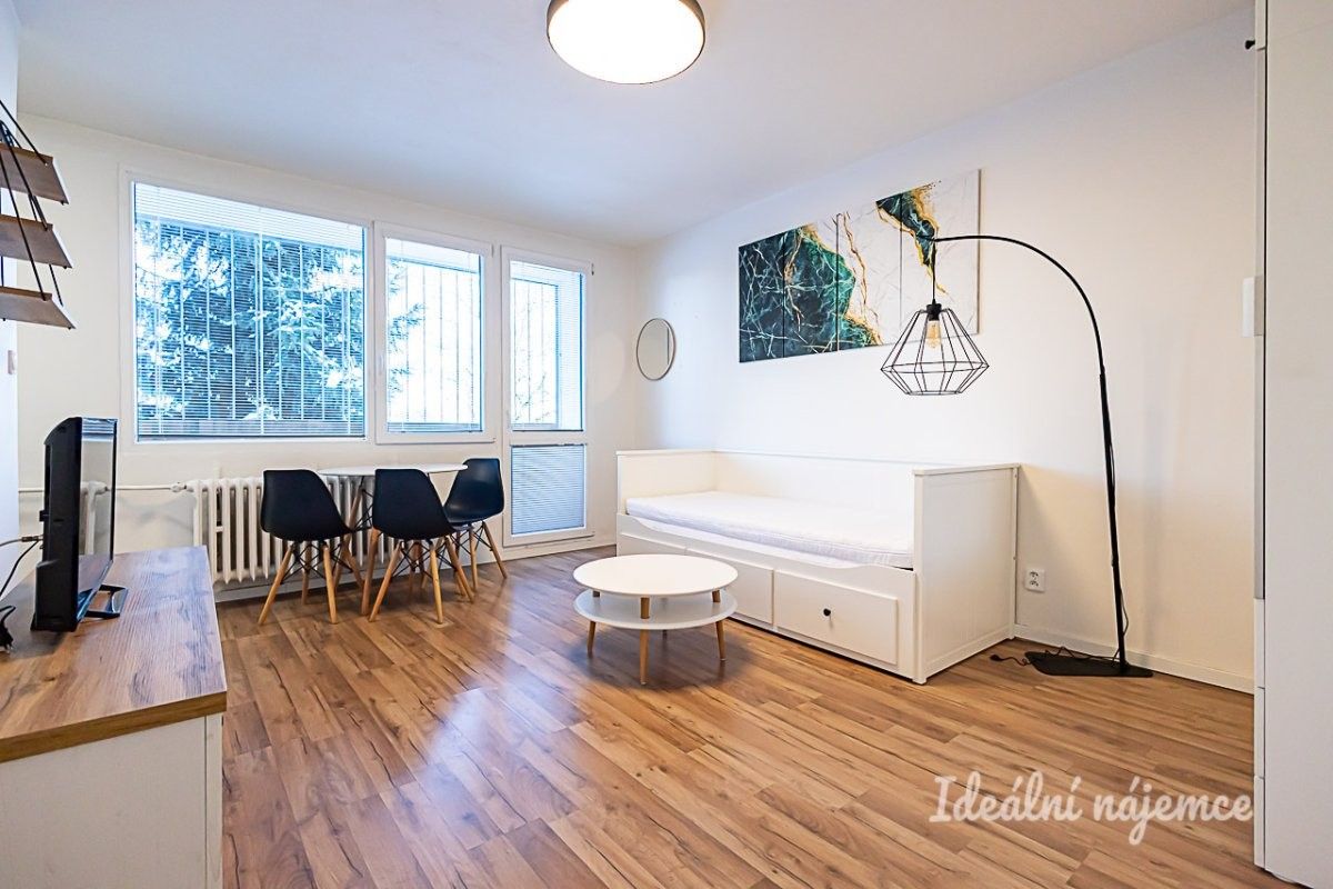 1+kk, Mezipolí, Praha, 29 m²